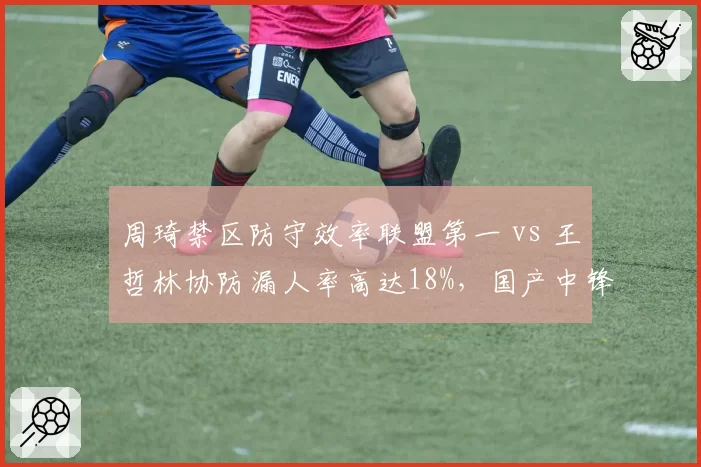 周琦禁区防守效率联盟第一 vs 王哲林协防漏人率高达18%，国产中锋防守体系分化