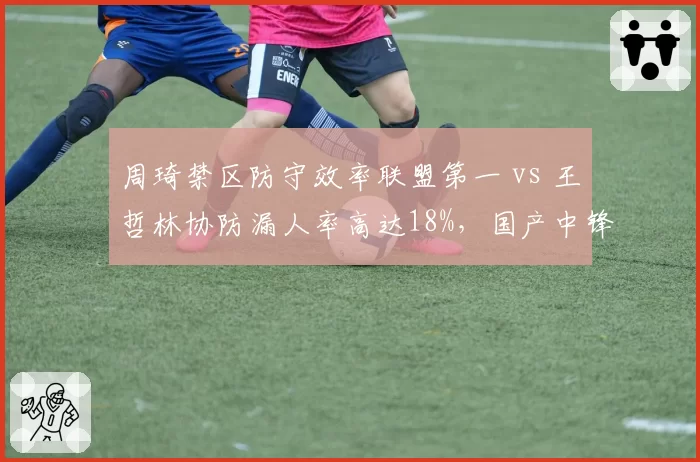 周琦禁区防守效率联盟第一 vs 王哲林协防漏人率高达18%，国产中锋防守体系分化