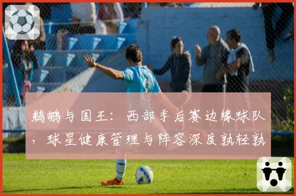 鹈鹕与国王：西部季后赛边缘球队，球星健康管理与阵容深度孰轻孰重？