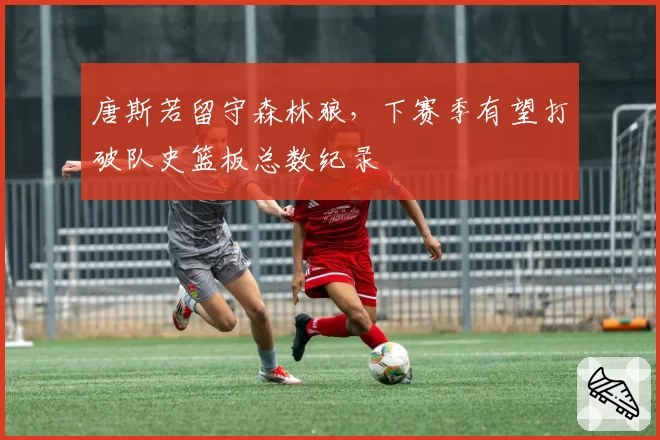 唐斯若留守森林狼，下赛季有望打破队史篮板总数纪录