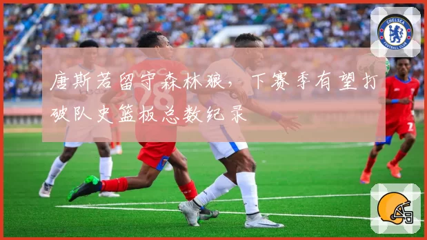 唐斯若留守森林狼，下赛季有望打破队史篮板总数纪录