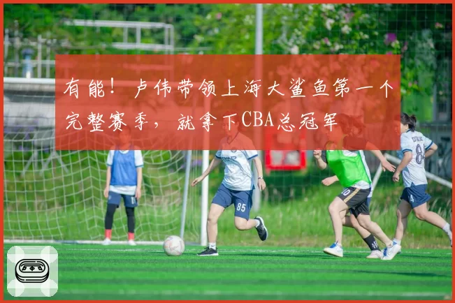 有能！卢伟带领上海大鲨鱼第一个完整赛季，就拿下CBA总冠军